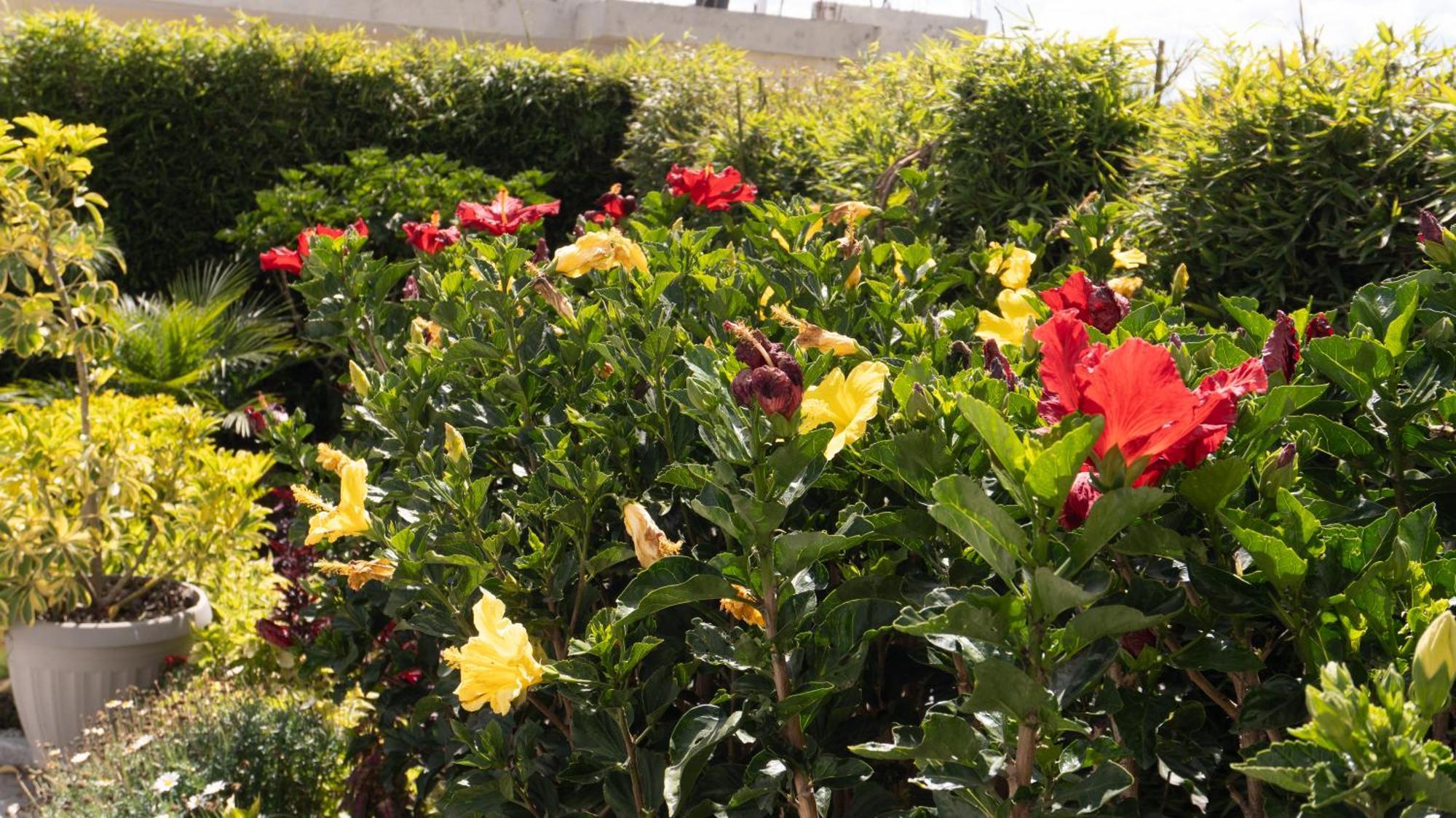 Hospedaje El Girasol Tababela Κίτο Εξωτερικό φωτογραφία